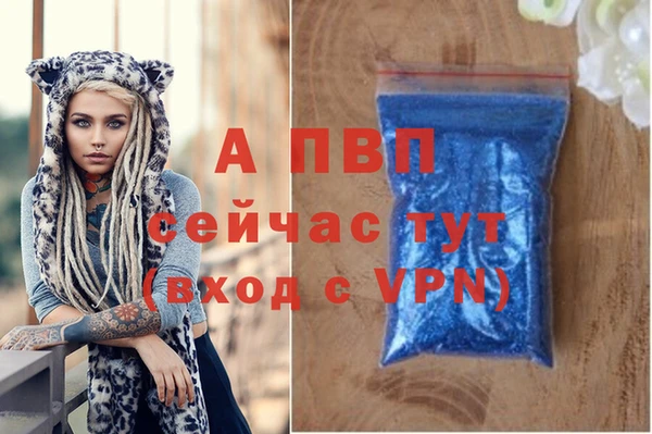 гидра Арсеньев