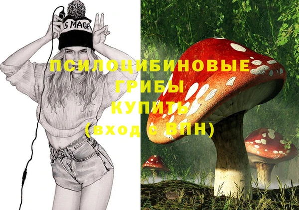 тгк Аркадак