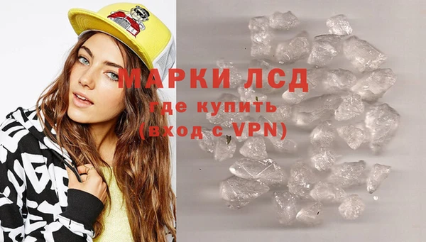 гидра Арсеньев