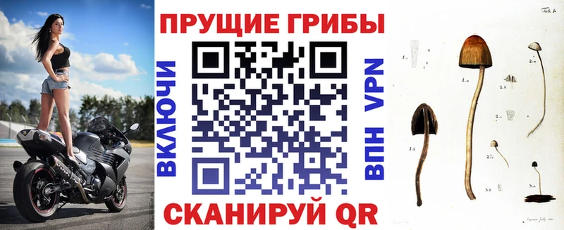 Галлюциногенные грибы прущие грибы  Острогожск 